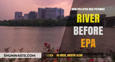 Potomac River Pollution: Pre-EPA Crisis