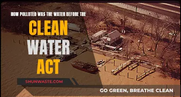 Pre-Clean Water Act: A History of Water Pollution