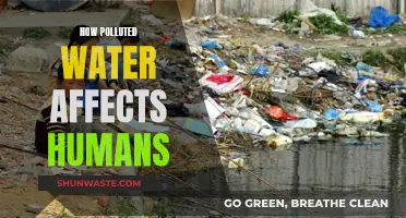 Polluted Water: A Slow Poison for Humans