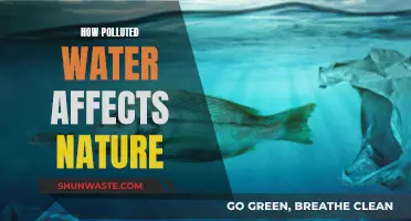 Nature's Water Pollution: Impact and Consequences