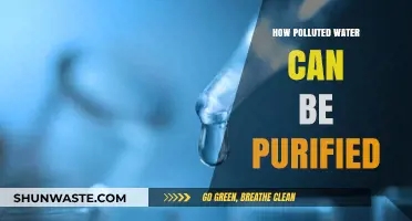 Unveiling the Secrets: Purifying Polluted Water, A Comprehensive Guide