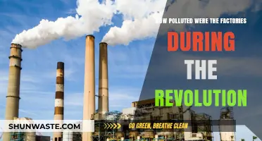 Industrial Revolution: Factories and Pollution