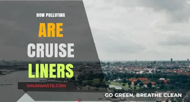 Cruise Liners: Polluting the Ocean Paradise