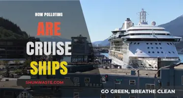 Cruise Ships: Polluting the Ocean Paradise