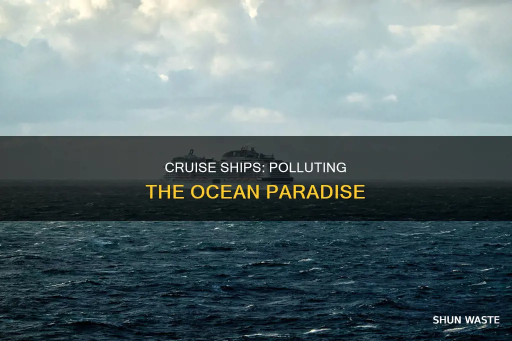 how polluting are cruise ships