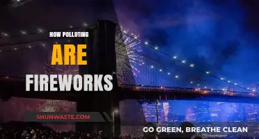 Fireworks: A Beautiful but Toxic Tradition