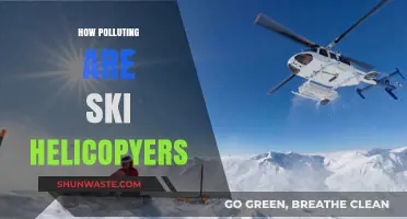 Ski Helicopters: Environmental Impact and Pollution