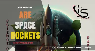 Space Rockets: Polluting Our Planet or the Final Frontier?