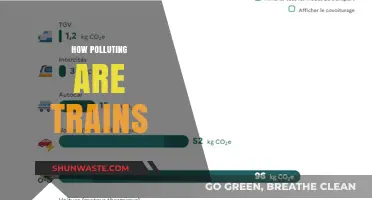 Trains and Pollution: The Environmental Impact