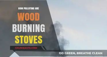 Wood-Burning Stoves: Are They Polluting Our Planet?
