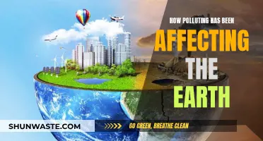 Pollution's Impact: Earth's Future in Danger