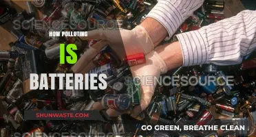 The Dark Side of Batteries: Environmental Impact