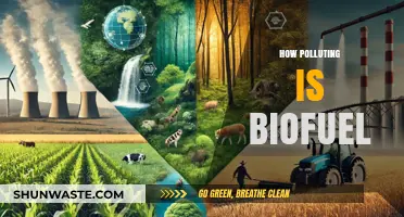Biofuel's Dark Side: Pollution and Environmental Impact