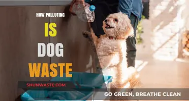Dog Waste: An Environmental Concern?