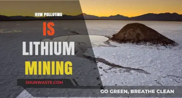 The Dark Side of Lithium Mining: Environmental Impact