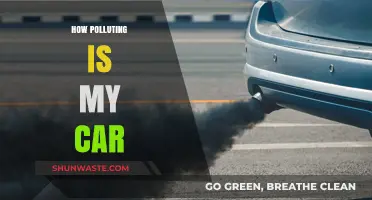 The Green Impact of Your Car