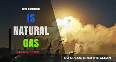 Natural Gas: Clean Energy or Polluting Fossil Fuel?