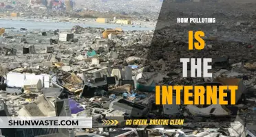 The Internet's Carbon Footprint: A Pollution Problem