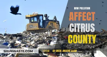 Citrus County's Pollution: Impact and Solutions