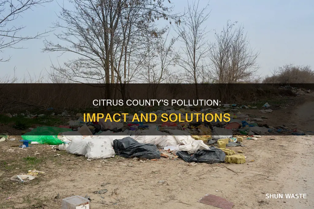 how pollution affect citrus county