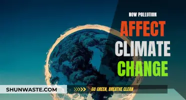 Pollution's Impact: Climate Change and Our Future