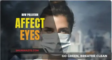 Air Pollution: Eye Health Hazards and Risks