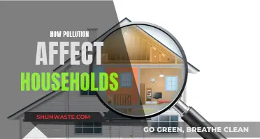 Pollution's Impact: Household Health Hazards and Solutions