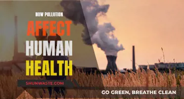 Pollution's Impact: Human Health at Risk