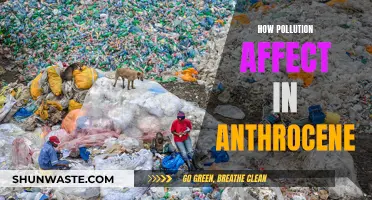 Pollution's Impact: The Anthropocene's Dark Cloud