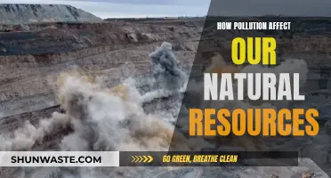 Pollution's Impact: Our Natural Resources Under Threat