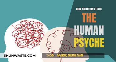 Pollution's Impact on Mental Health: A Human Psyche Study