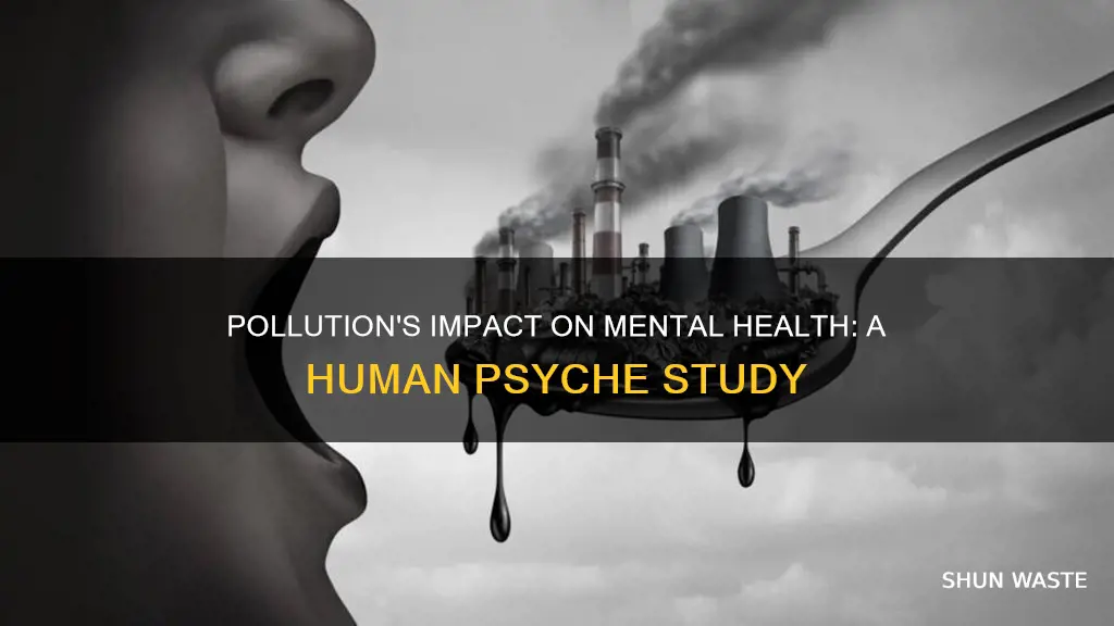 how pollution affect the human psyche