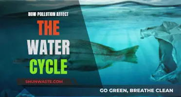 Water Cycle: Pollution's Impact and Influence