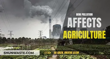 Pollution's Impact: Agriculture's Unseen Enemy