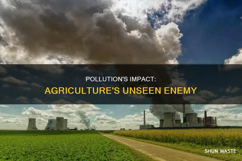 how pollution affects agriculture