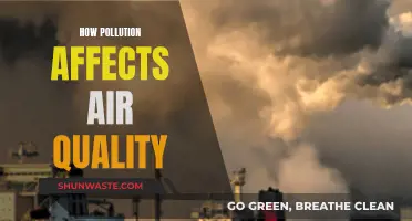 Air Quality Alert: Pollution's Impact and Our Health