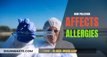 Pollution's Impact: Allergies and Their Aggravating Factors