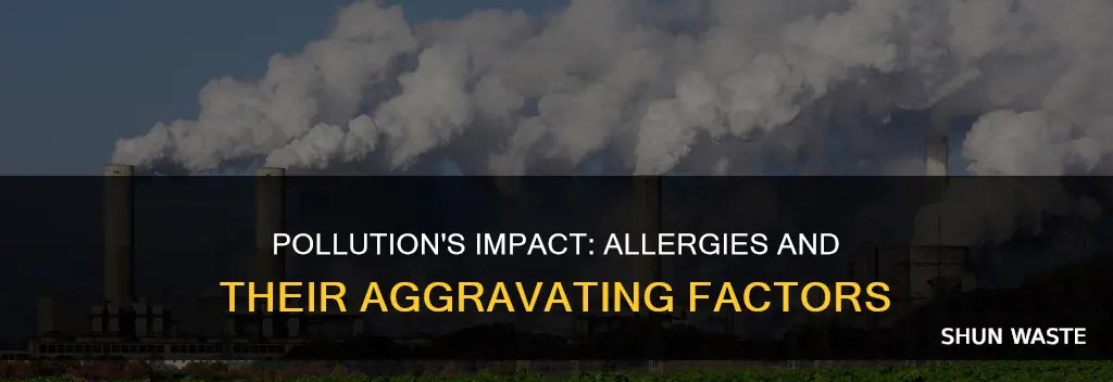 how pollution affects allergies