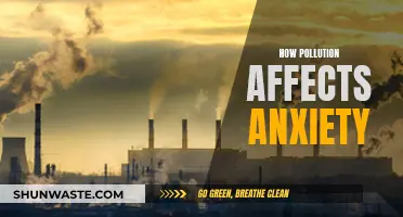 Anxiety and Pollution: A Toxic Relationship