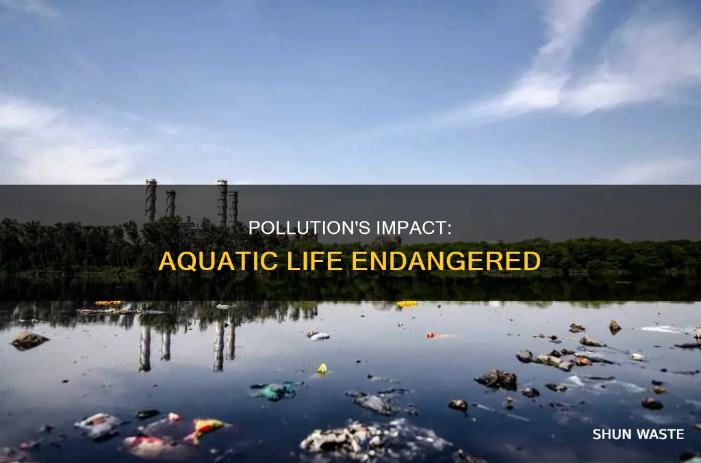 how pollution affects aquatic life