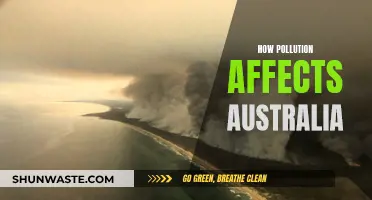 Australia's Pollution Crisis: Impact and Solutions