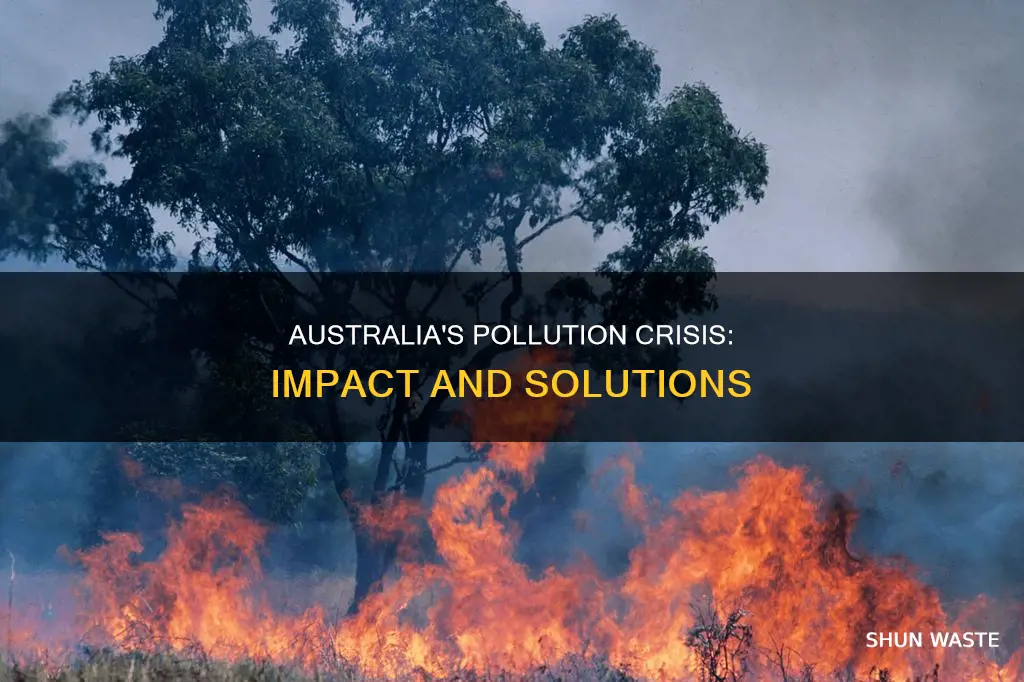 how pollution affects australia