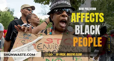 Pollution's Racist Impact: Black People's Health Crisis