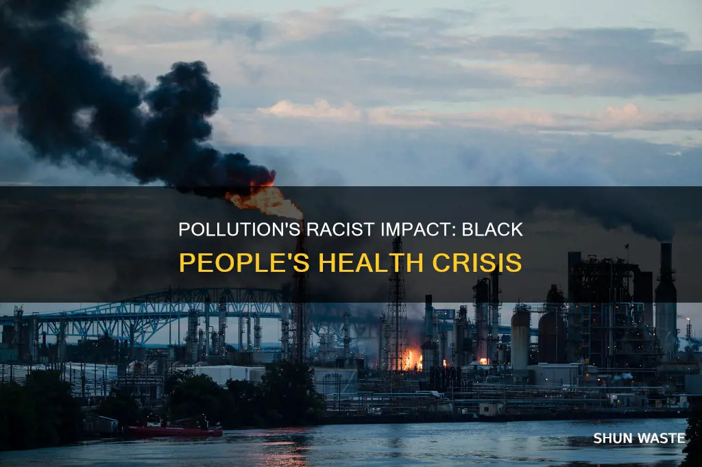 how pollution affects black people