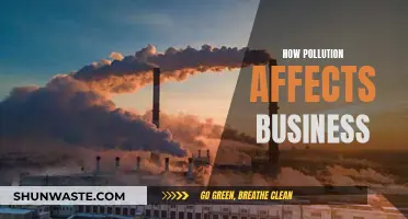 Pollution's Impact: Businesses Face the Brunt