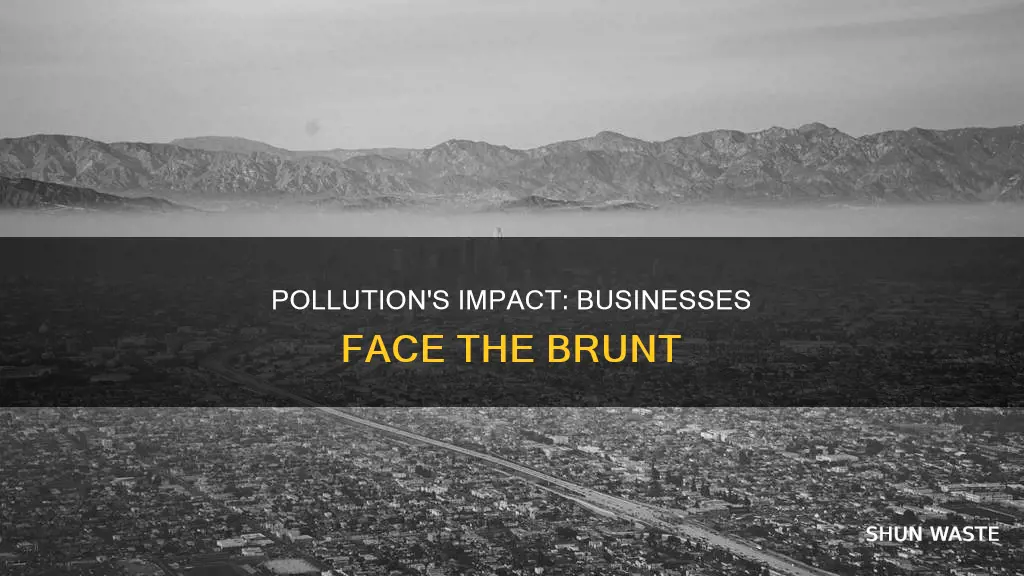 how pollution affects business