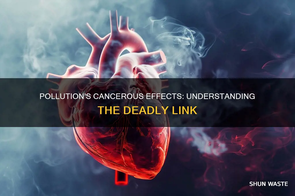 how pollution affects cancer