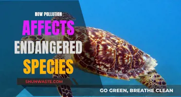 Pollution's Impact on Endangered Species: A Critical Analysis