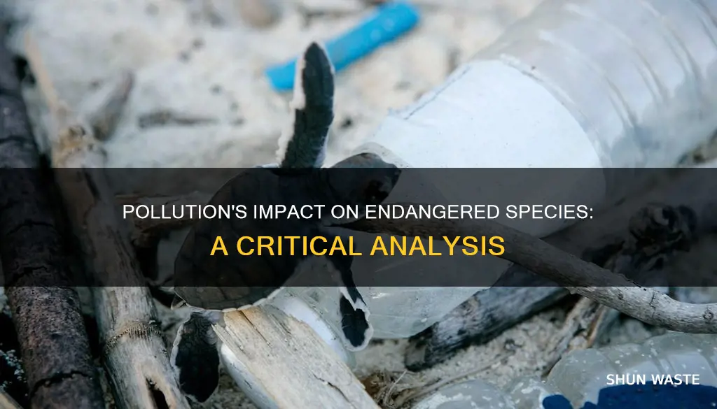 how pollution affects endangered species