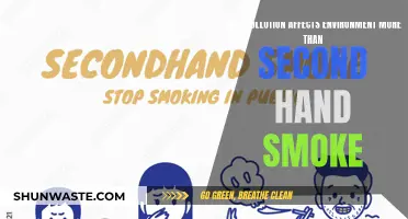 Pollution's Impact: Worse than Second-Hand Smoke